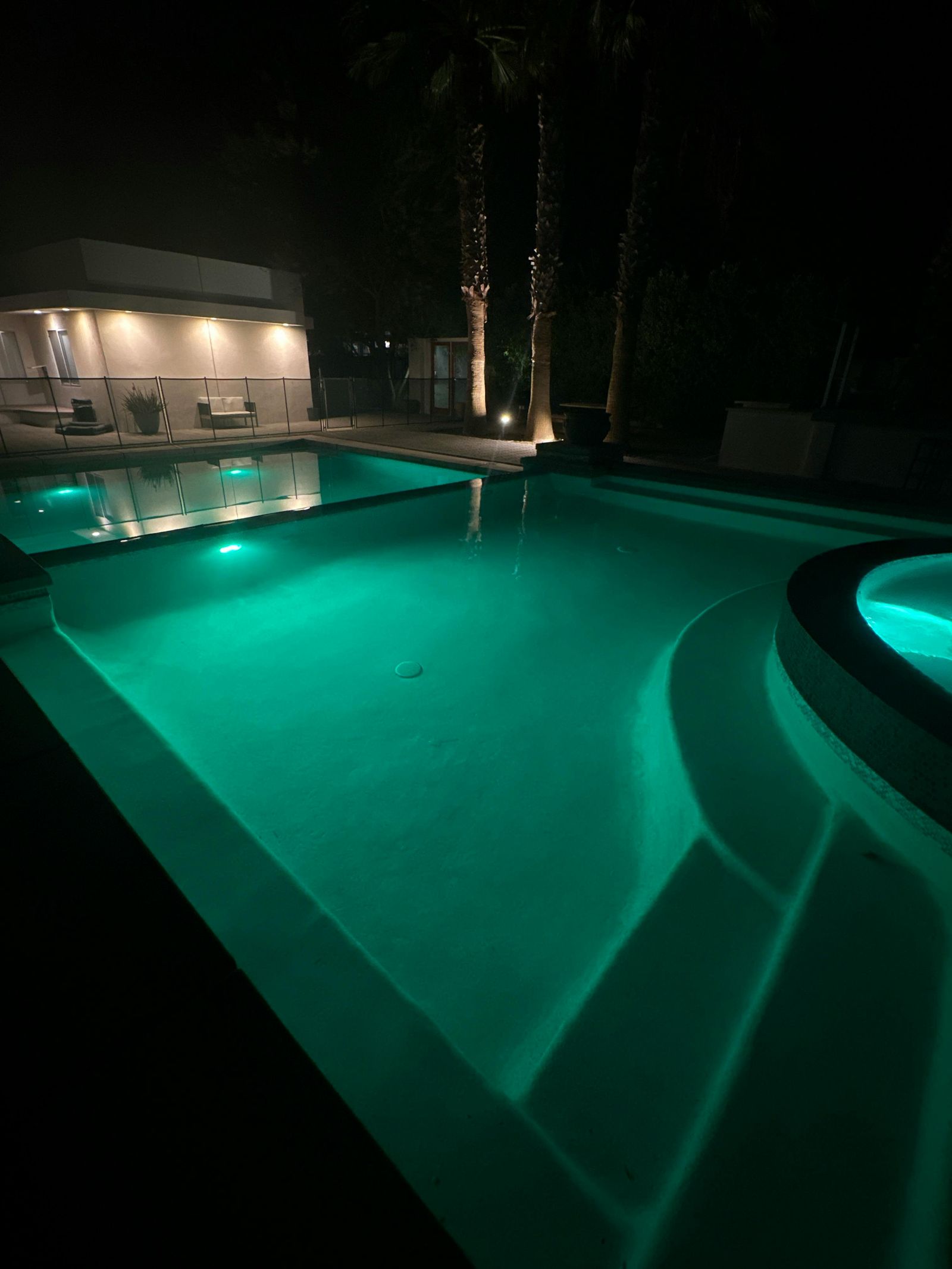 Palm Springs Oasis, photo 2