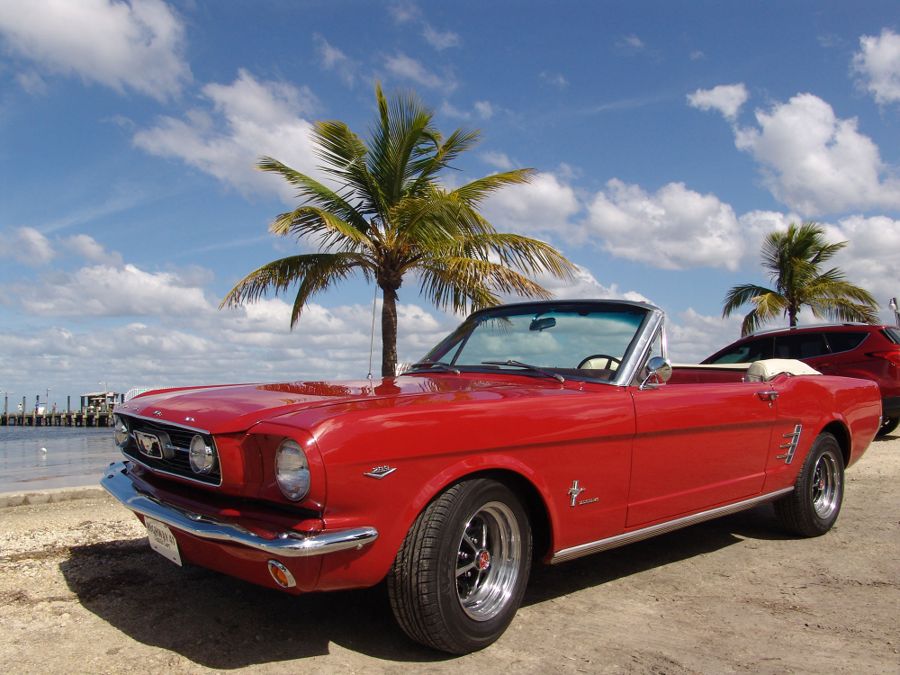 Highway 41 Classic Cars, Cape Coral, FL
