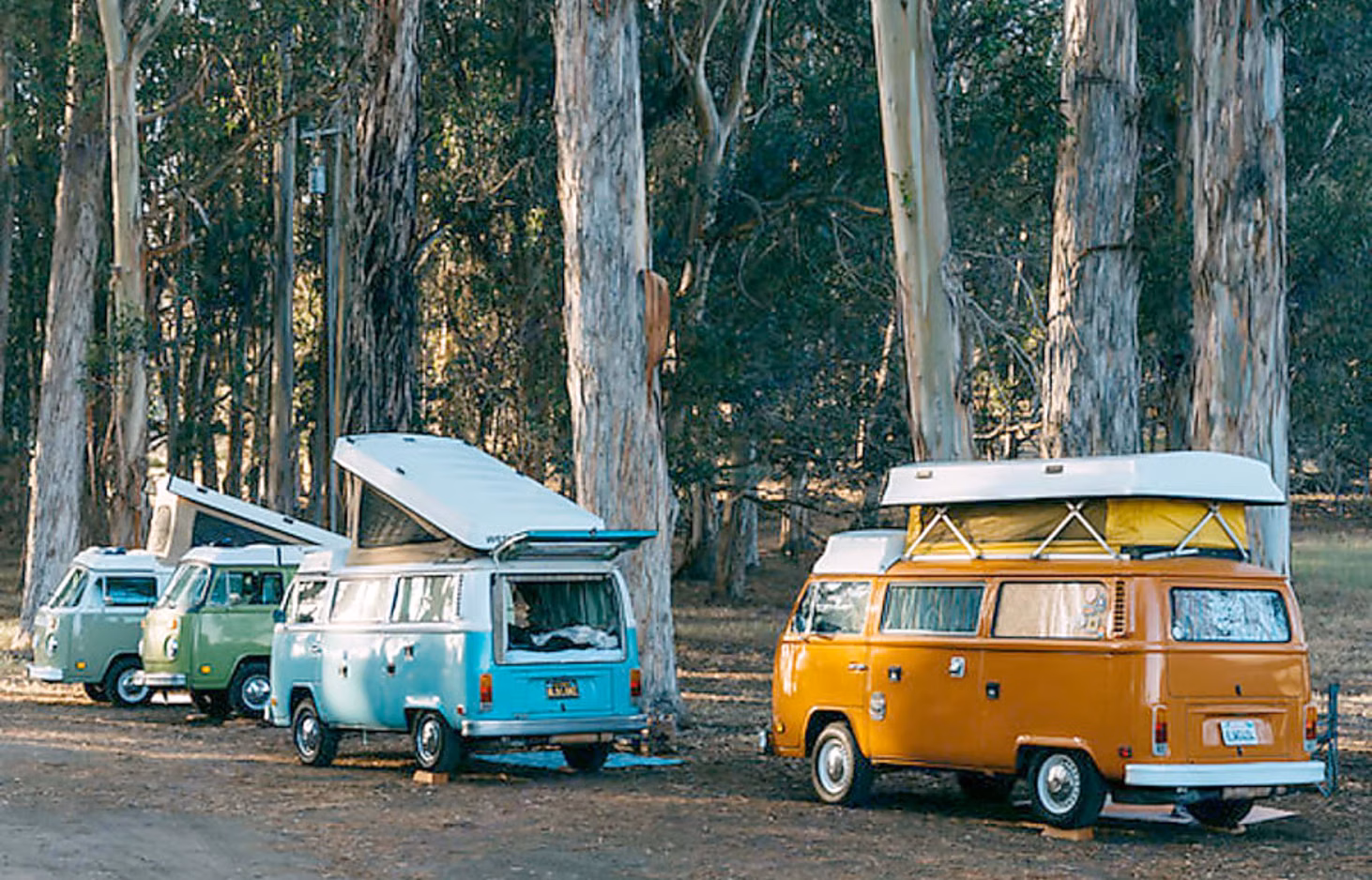 "Cardiff" 1979 VW Pop-Top, photo 2